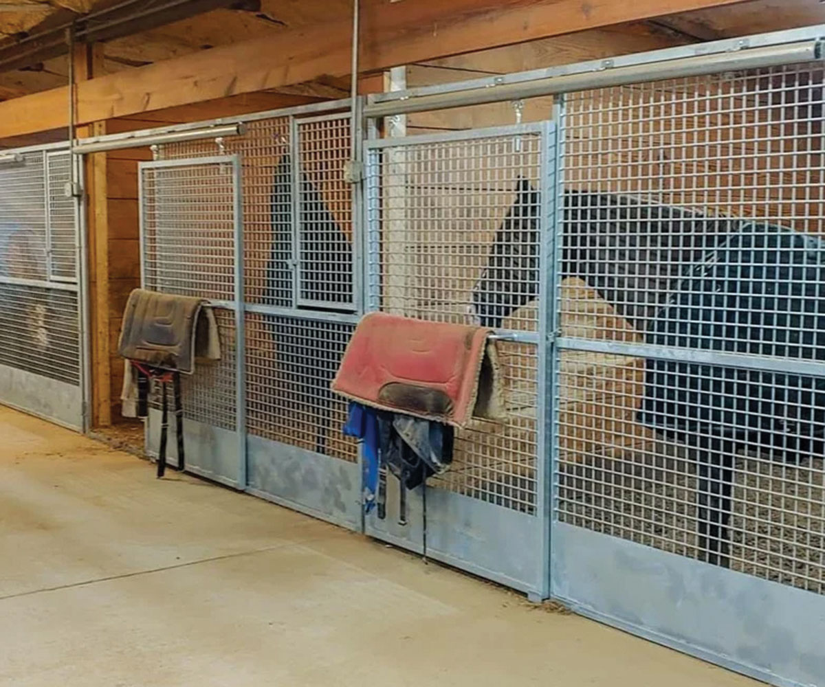 Horses standing behind a CRA Welding metal mesh front gate