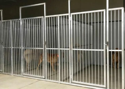 Metal dog kennels inside of a building