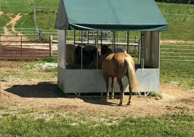 Hay Feeder