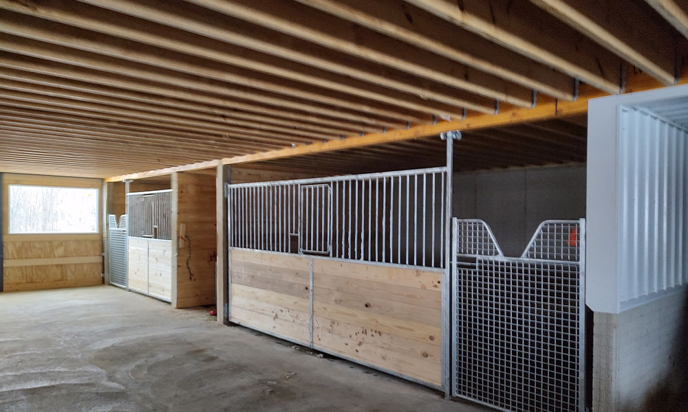 Things to Consider for Standard Metal Horse Stalls