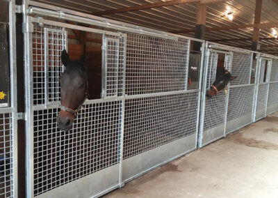 Two horses sticking their heads out of a metal mesh front horse stall.