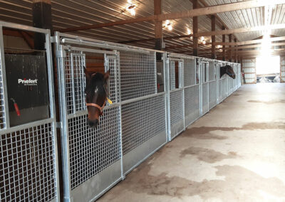 Mesh stall front horse stalls inside of a large steel structure