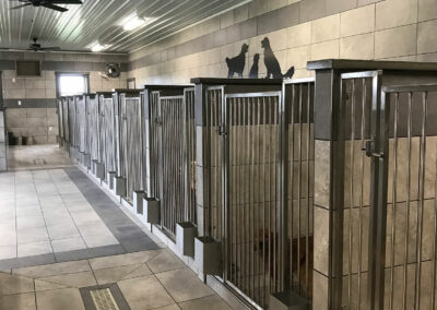 Row of dog kennels with tile and metal doors