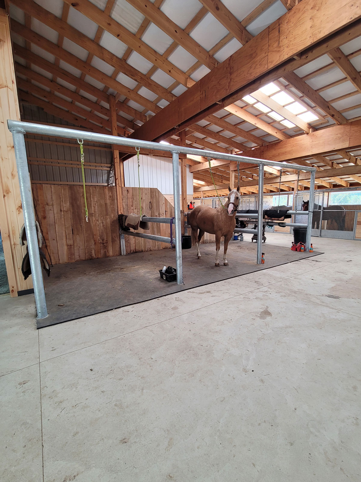 Horse tethered to a custom metal rail in a large stable
