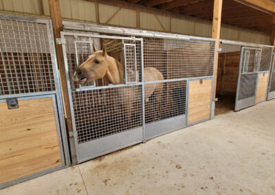 Horse stall with a mesh front, with a horse inside sticking his head out