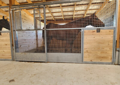 Horse inside of a mesh front horse stall