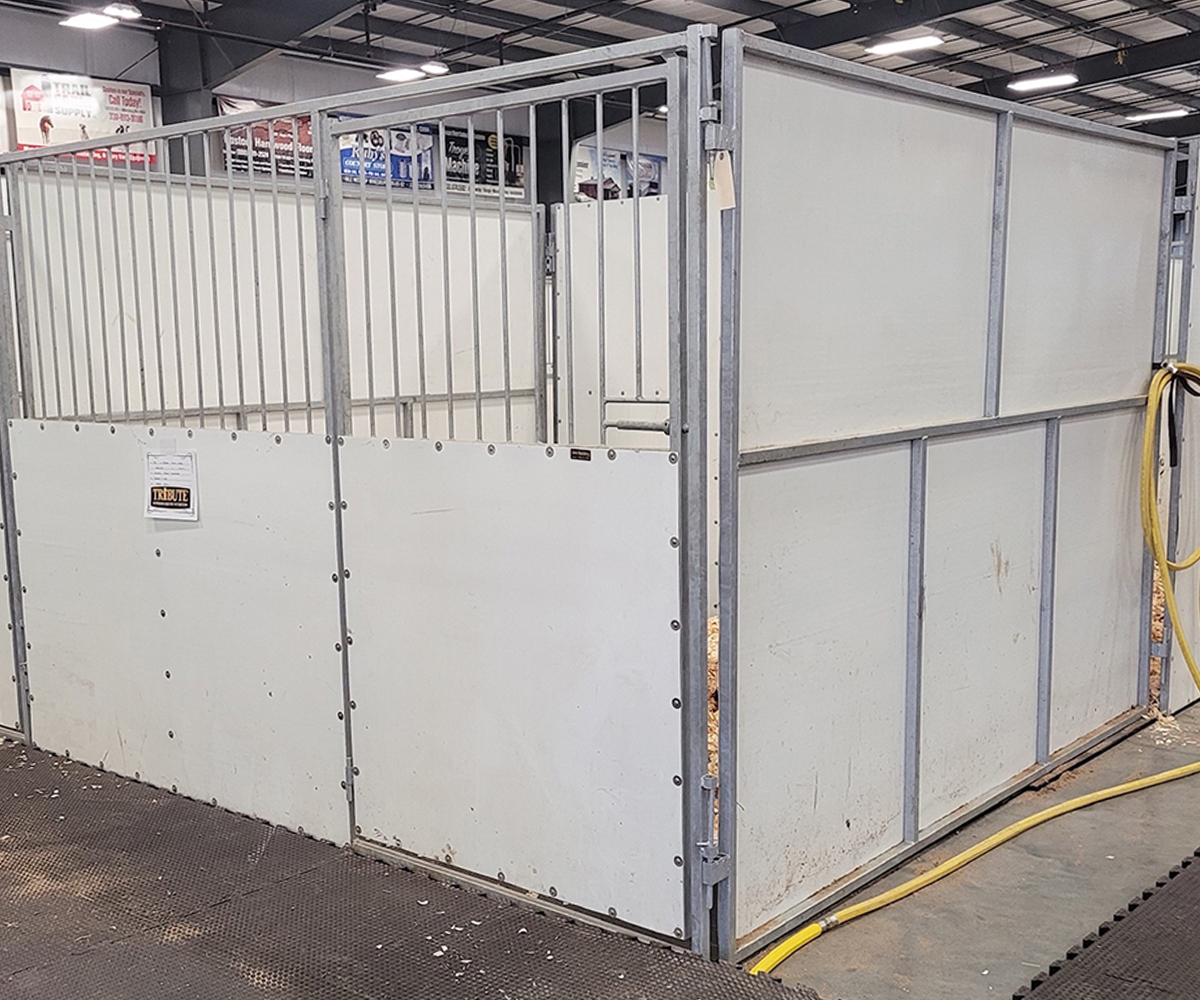 A row of dog kennels with custom metal work at Trailblazer Kennel, featuring secure and stylish enclosures for dogs.