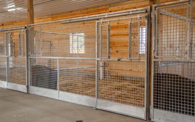 The Benefits of Hot-Dip Galvanizing in Equine Equipment